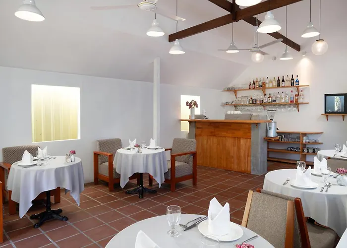 Hotel The Tree - Adults Only 4*