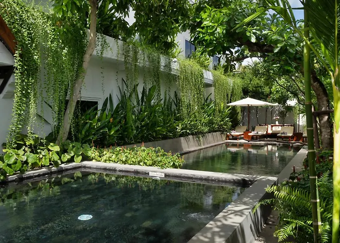 The Tree - Adults Only Hotel